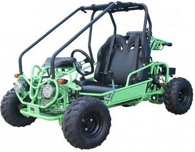 Taotao GK110 110CC Youth Go Kart, Air Cooled, 4-Stroke, 1-Cylinder, Automatic with Reverse -  Fully Assembled And Tested - Green