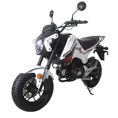 Tian Tao新品  ブラック&ホワイトポロ2 Tao Phoenix 150 Scooter – FamilyGoKarts.com