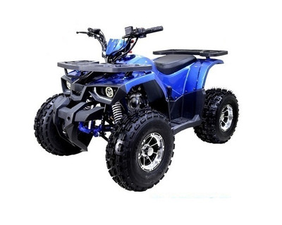 TaoTao Raptor 125cc,Air cooled, 4-stroke, 1-cylinder,automatic with reverse - Fully Assembled and Tested -Blue
