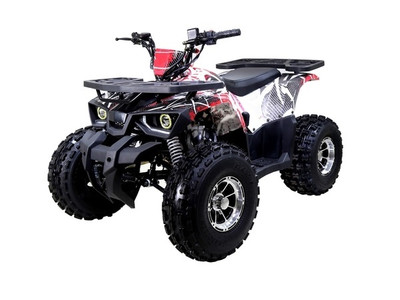 TaoTao Raptor 125cc,Air cooled, 4-stroke, 1-cylinder,automatic with reverse - Fully Assembled and Tested -Red