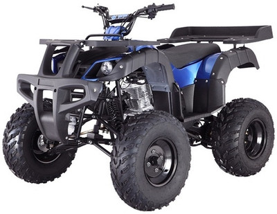 Taotao RHINO250 200CC, Air Cooled, 4-Stroke, 1-Cylinder, Manual Transmission - Fully Assembled and Tested