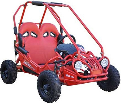 Trail Master 163Cc Xrx Mini Go Kart High Quality Go Kart 5.5 Hp W/ Pull Start