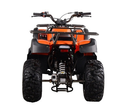 VITACCI RIDER-200 EFI 176CC ATV, 4-STROKE, ELECTRIC START, FULLY AUTOMATIC -Rear View