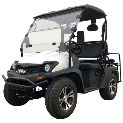 New Trailmaster Taurus 200GV UTV
