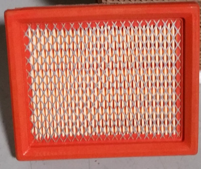 New Hawk 250 Air Filter