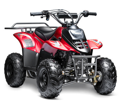 Made in Vietnam Goldenwing New Rex ATV, 110cc Air Cooled, 4-Stroke, 1-Cylinder, Automatic