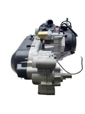 Rover 200 Golf Cart Rebuilt