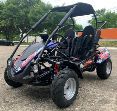 Trailmaster Blazer I200R Electric Motor, Fully Automatic With Reverse - Blue