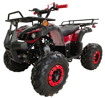 Vitacci New Rider-12 125Cc Atv, Automatic, 8" tire - Foot Shifter - Red