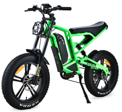 Icebear EBA216X980 Electric Bicycle For Sale | Txpowersports