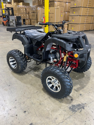 RPS TK200ATV-BS Fully Automatic ATV with Reverse, 200cc Engine, Chain Drive