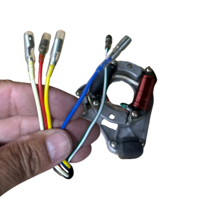 2 Coil Stator Ignition Magneto Plate for 49cc 50cc 70cc 90cc 110cc 125cc Chinese ATV Quad Go Cart Dirt Bike Taotao Sunl JCL