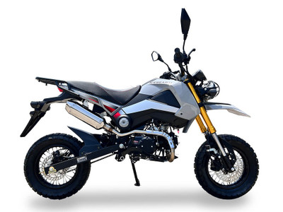 Ice Bear Rogue ADV PMZ125-1EN – 125cc Dual Sport Motorcycle
