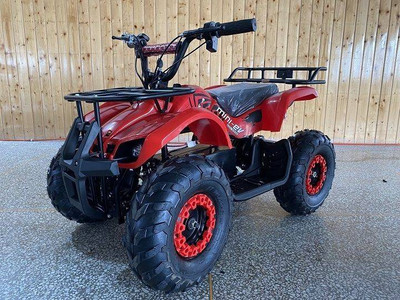DongFang Kids ATV Electric 500W, Grizzly Clone with Reverse, 16" Tires, Remote Kill Switch, and Alarm