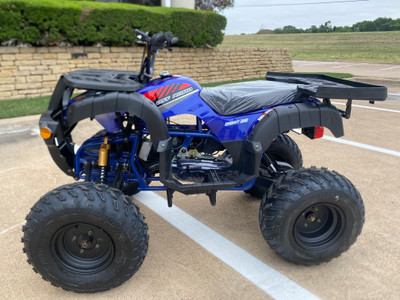 RPS 200cc Utility ATV Fully Automatic with Reverse, Hydraulic Disc Brake
