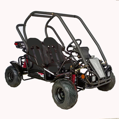 RPS Raytech 125cc Go Kart GKT125-9 Spyder , Single cylinder, air-cooled