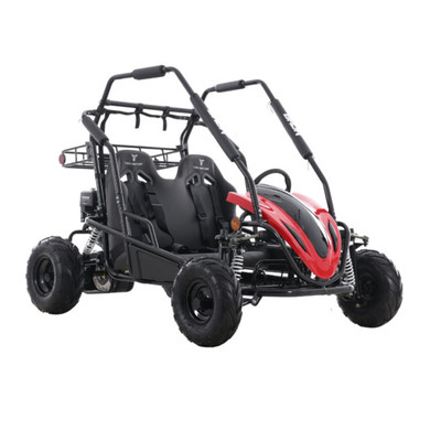 Taotao Baja Sprinter 200 CVT Go-Kart 196cc with Dual Suspension