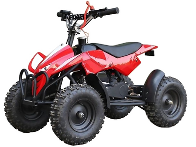 DongFang 50cc Kids ATV,2-Stroke Engine with Kill Switch and Auto Transmission