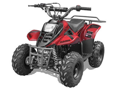 Vitacci Hawk Rex 110cc Kids ATV ASSEM | TX Power Sports