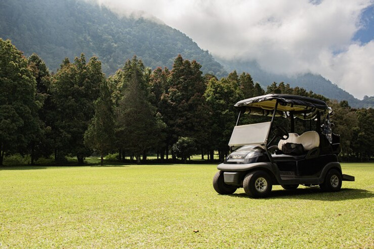 Safety Features of the Rover 200 Golf Cart: A Comprehensive Guide