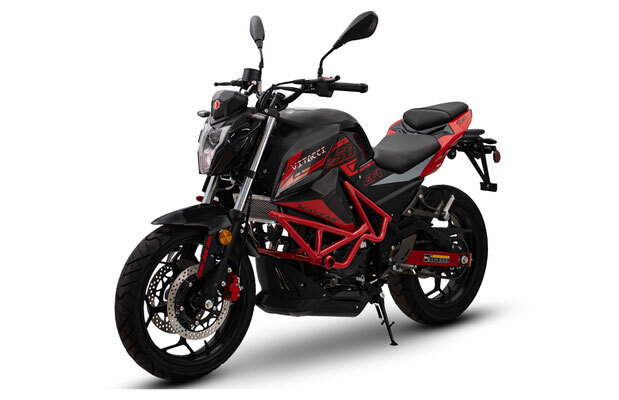VITACCI-MATIAS-250
