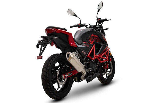 VITACCI-MATIAS-250