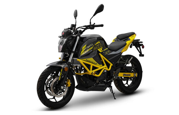 VITACCI-MATIAS-250