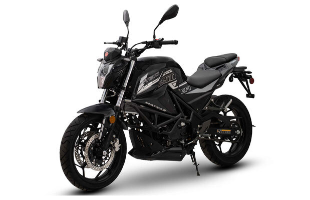 VITACCI-MATIAS-250