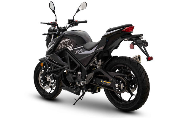 VITACCI-MATIAS-250