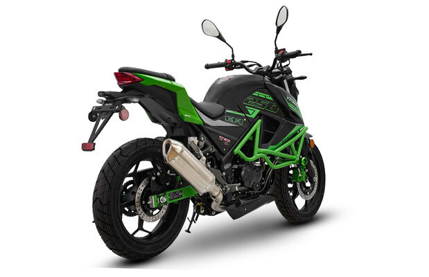 VITACCI-MATIAS-250