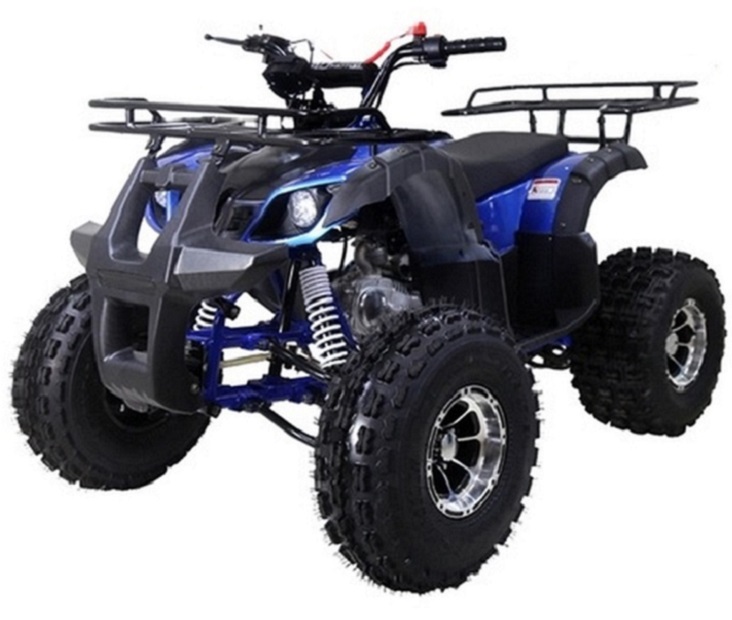 TaoTao 125CC New T-FORCE Assembled Mid Size ATV