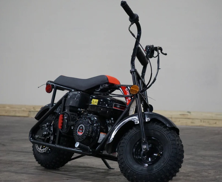 Buy Trailmaster Mini Bike Storm 200, Assembled at - txpowersports.com