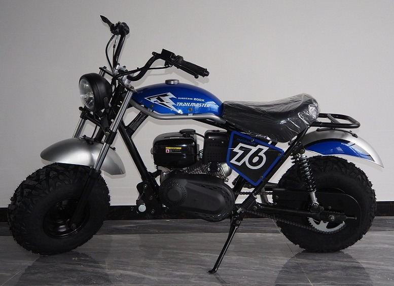 Buy New TrailMaster Hurricane 200X Mini Bike - Txpowersports.com