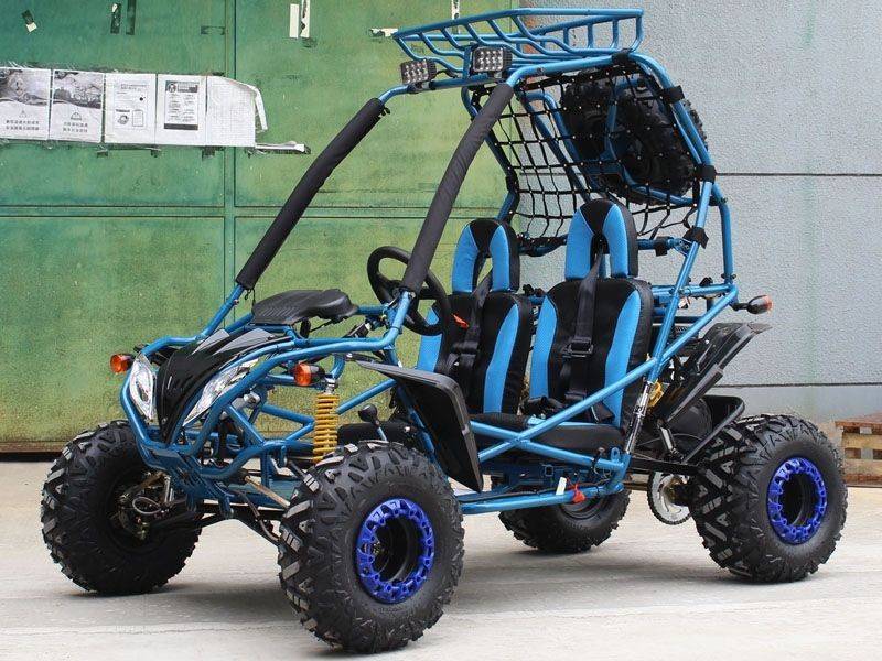 Dongfang 200cc (DF200GSA) GSA Go Kart For Sale | Txpowersports