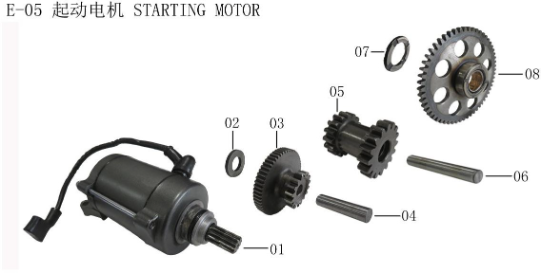 Lifan Kpx250 Starter motor assembly