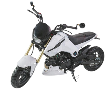 Buy ICE BEAR FUERZA 125CC STREET BIKE (PMZ125-1) at txpowersports.com