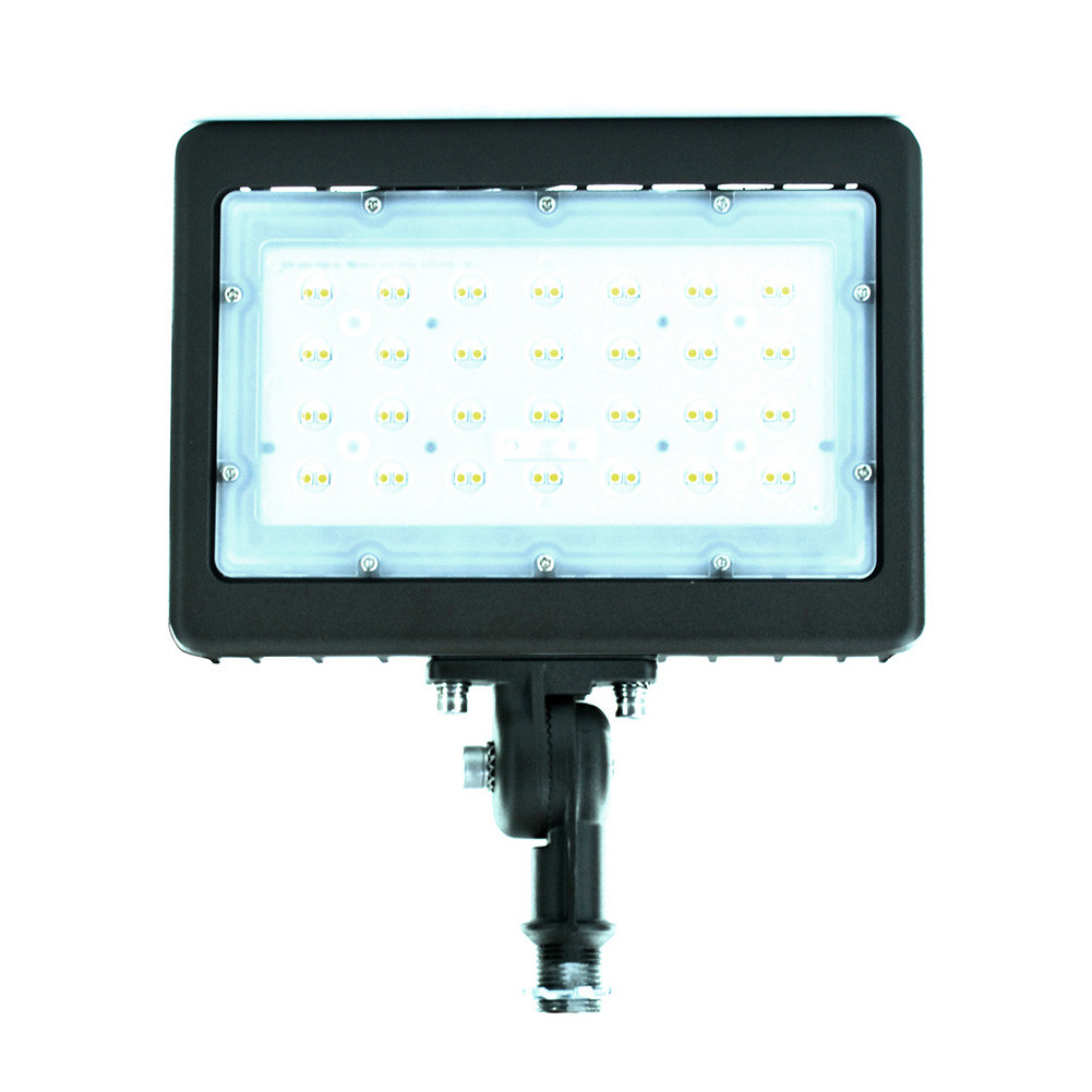 Mini Flood Lighting TLX50NLXL-1 Twilighter Mini-Flood Light - 50