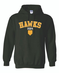 Silverhawks Baseball 2024 - Gildan Heavy Blend™ Hooded Sweatshirt