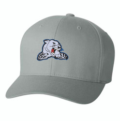 Carol Stream Cougars Flexfit Twill Cap