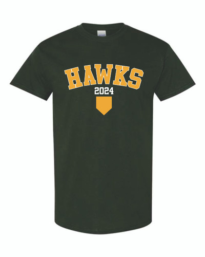 Silverhawks Baseball 2024 - Gildan Heavy Cotton T-Shirt