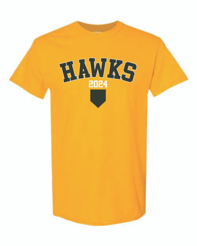 Silverhawks Baseball 2024 - YOUTH Gildan Heavy Cotton™ T-Shirt