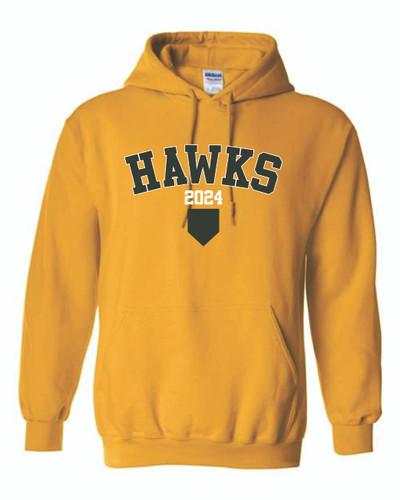 Silverhawks Baseball 2024 - YOUTH Gildan Heavy Blend™ Hooded Sweatshirt