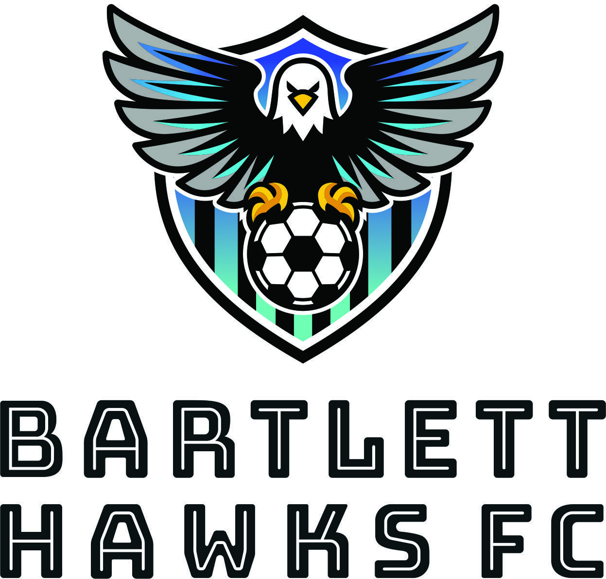 Bartlett Hawks FC