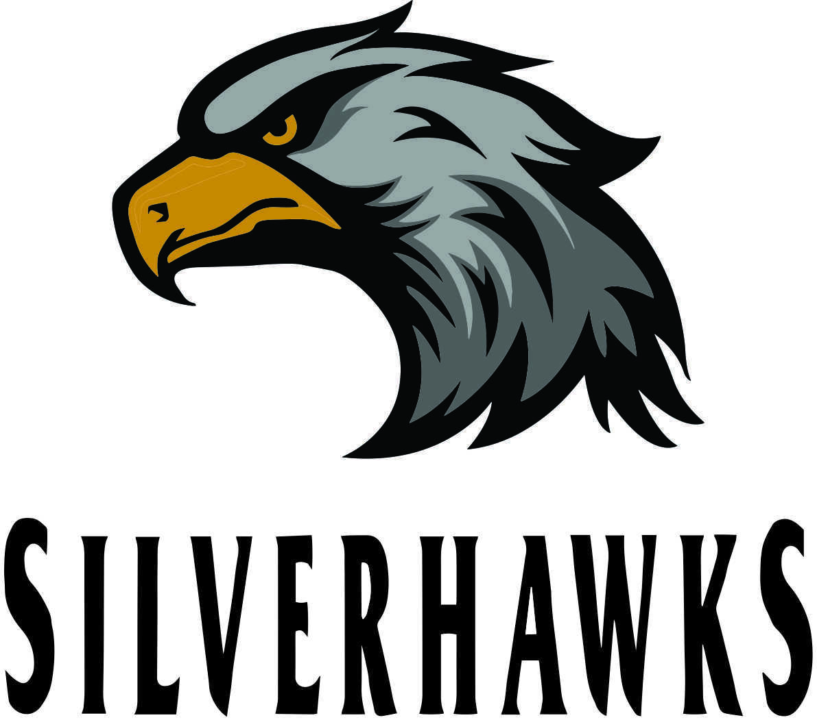 St. Charles Silverhawks