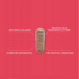 Skin Collagen Support Key Benefits
