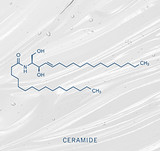 Ingredient Spotlight:  Ceramides