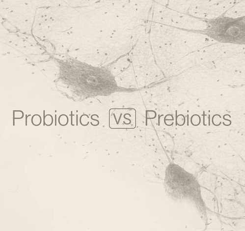 Probiotics vs Prebiotics