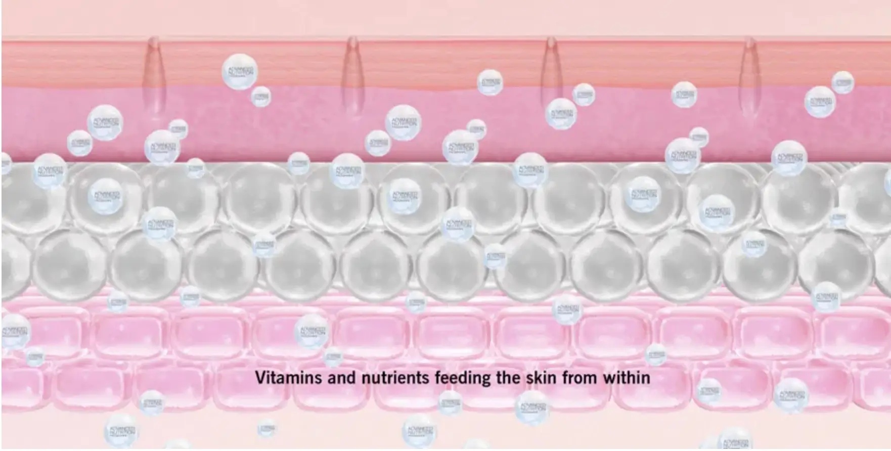 The study of skin