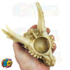 Bone white dragon head / skull tea light candle holder