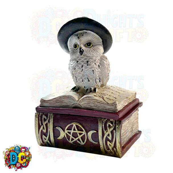 snow owl with witches hat perched on a red spell book